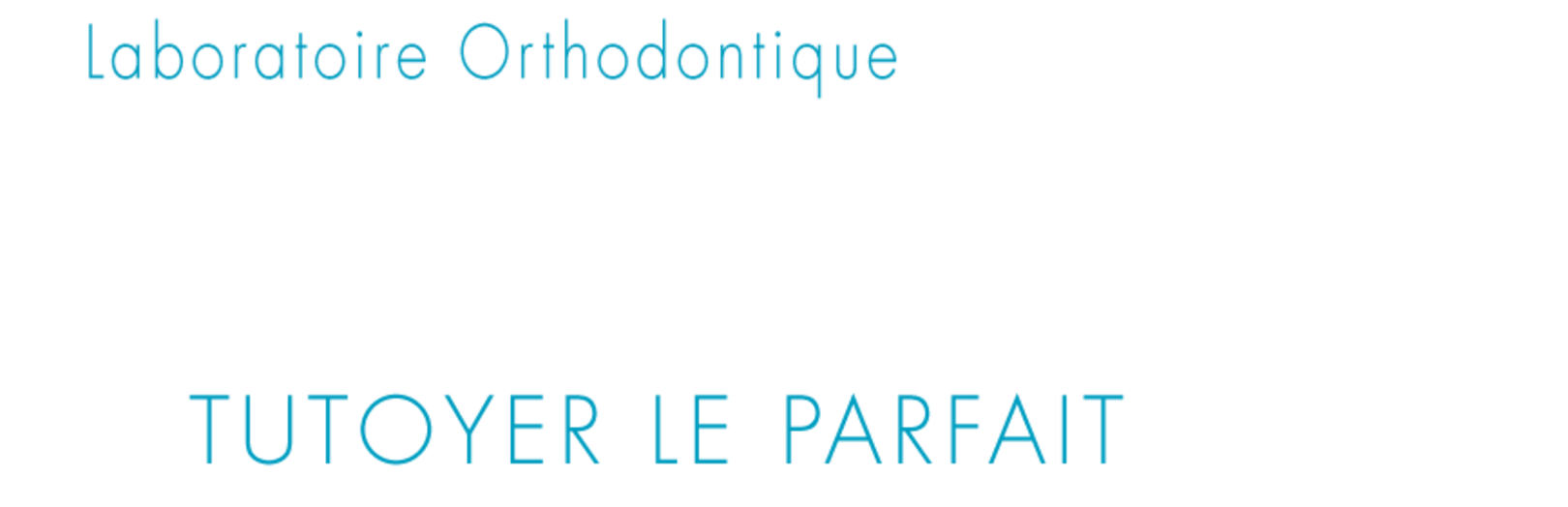 Ban1 euro orthese